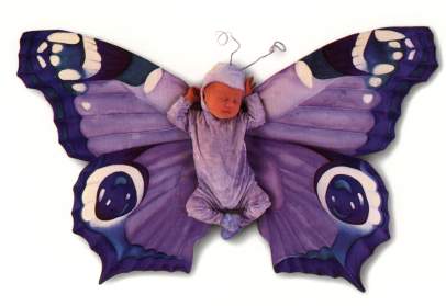 bébé papillon mauve