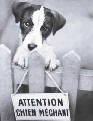 attention il est trés méchant